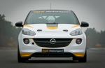 Opel Adam Cup 2013 года